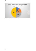 Referāts 'Jogas ietekme uz cilvēka organismu', 26.