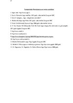 Referāts 'Jogas ietekme uz cilvēka organismu', 27.