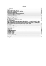 Paraugs 'Grāmatvedības kārtošanas nolikums', 2.