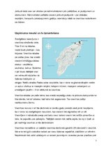 Prakses atskaite 'Prakses atskaite "Imperial Rhodes" viesnīcā', 5.