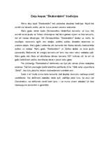 Prakses atskaite 'Prakse pedagoģijā', 9.