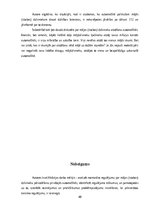 Diplomdarbs 'Tiesiskās prasības mājdzīvnieku pārvadāšanai privātajā automašīnā', 40.