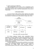 Prakses atskaite 'Mazumtirdzniecības uzņēmuma prakses atskaite', 9.
