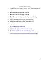 Referāts 'Latvijas pilis', 13.