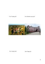 Referāts 'Latvijas pilis', 15.