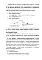 Konspekts 'Apdrošināšana kā riska neitralizācija uzņēmumā', 1.