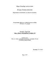 Konspekts 'Mazo firmu atbalstīšanas politika Eiropas Savienībā', 1.