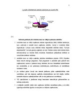 Konspekts 'Mazo firmu atbalstīšanas politika Eiropas Savienībā', 3.