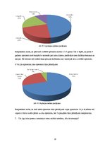 Referāts 'Mobilās biznesa tehnoloģijas un nākotnes perspektīvas', 28.