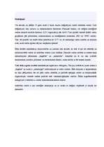 Konspekts 'Attīstības valstu ekonomiku raksturojums', 12.