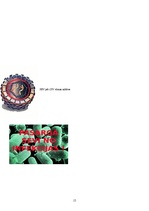 Referāts 'Vīrusu izraisītās slimības', 15.