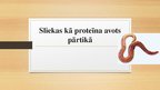 Prezentācija 'Sliekas kā proteīna avots', 1.