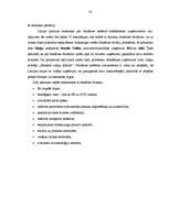 Konspekts 'Franšīze', 22.