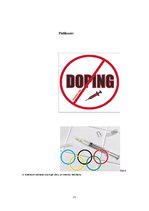 Referāts 'Dopinga ietekme uz sportistu rezultātiem', 22.