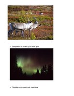 Prezentācija 'Tūrisms Somijā', 11.