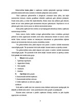 Konspekts 'Grāmatvedība', 6.