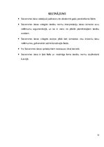 Referāts 'Satversmes tiesas loma tiesību normu iztulkošanā', 12.