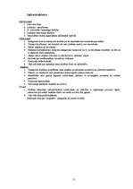 Referāts 'Limbažu pilsētas attīstības stratēģija', 15.