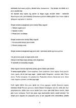 Referāts 'Dabas liegums "Ābeļi"', 8.