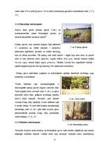 Referāts 'Dabas liegums "Ābeļi"', 9.