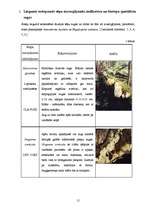 Referāts 'Dabas liegums "Ābeļi"', 14.