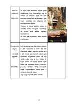 Referāts 'Dabas liegums "Ābeļi"', 15.