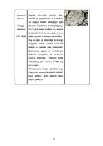 Referāts 'Dabas liegums "Ābeļi"', 21.