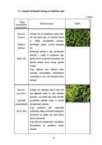 Referāts 'Dabas liegums "Ābeļi"', 22.