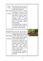 Referāts 'Dabas liegums "Ābeļi"', 23.