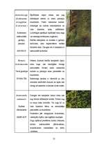 Referāts 'Dabas liegums "Ābeļi"', 24.
