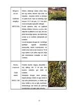 Referāts 'Dabas liegums "Ābeļi"', 26.