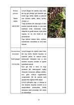 Referāts 'Dabas liegums "Ābeļi"', 27.