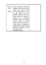 Referāts 'Dabas liegums "Ābeļi"', 28.