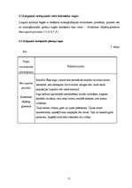 Referāts 'Dabas liegums "Ābeļi"', 30.