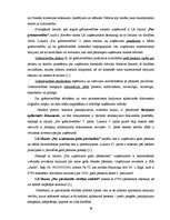 Diplomdarbs 'Ieņēmumu uzskaite, kontrole un analīze SIA "X"', 29.