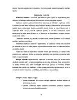 Diplomdarbs 'Ieņēmumu uzskaite, kontrole un analīze SIA "X"', 48.