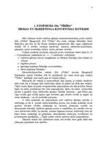 Biznesa plāns 'Uzņēmuma SIA "Tīrība" mārketinga biznesa plāns', 3.