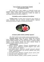 Biznesa plāns 'Uzņēmuma SIA "Tīrība" mārketinga biznesa plāns', 32.