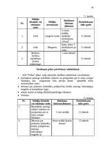 Biznesa plāns 'Uzņēmuma SIA "Tīrība" mārketinga biznesa plāns', 42.