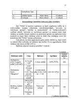 Biznesa plāns 'Uzņēmuma SIA "Tīrība" mārketinga biznesa plāns', 43.