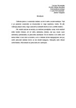 Eseja 'Zelta Zivtiņas 184.reklāmas analīze', 4.