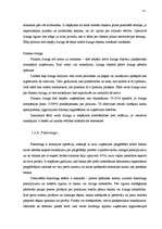 Diplomdarbs 'Bezskaidras naudas norēķini banku sektorā Latvijā', 31.