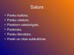 Prezentācija 'Panku kultūra', 2.