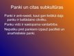 Prezentācija 'Panku kultūra', 14.