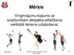 Prezentācija 'Kāju muskulatūras ātrspēka attīstīšana ar svarbumbu sporta līdzekļiem', 6.