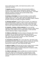 Konspekts 'Persiešu vēsture, kultūra, mitoloģija, sabiedrība un kultūras mantojums: konspek', 44.