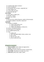 Konspekts 'Tuvie Austrumi - Divupe, Ēģipte un to kaimiņi', 3.