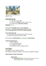 Konspekts 'Tuvie Austrumi - Divupe, Ēģipte un to kaimiņi', 4.