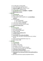 Konspekts 'Tuvie Austrumi - Divupe, Ēģipte un to kaimiņi', 5.