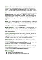 Konspekts 'Tuvie Austrumi - Divupe, Ēģipte un to kaimiņi', 8.